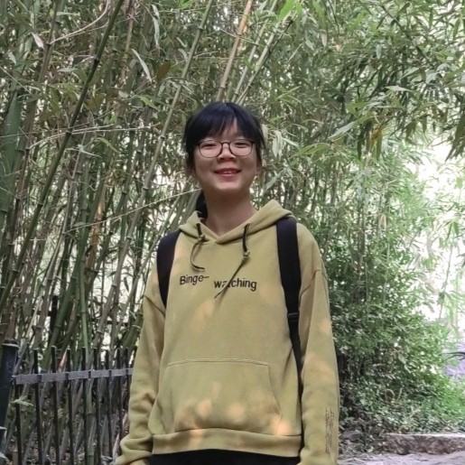 王新月